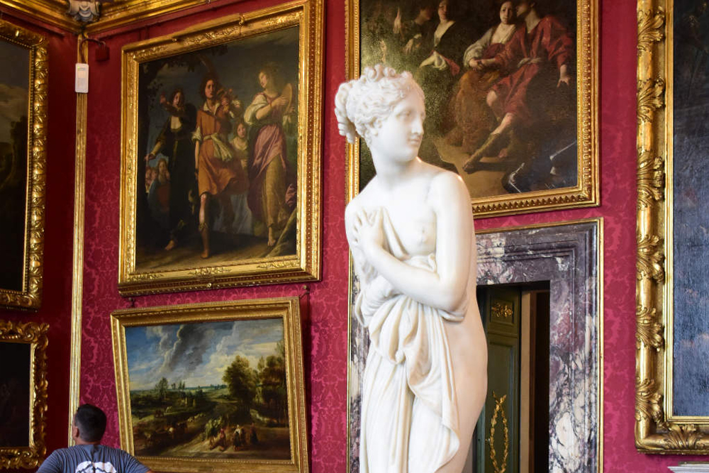 Entrada al Palacio Pitti y Jardines de Boboli en Florencia - Imagen 2 de 5