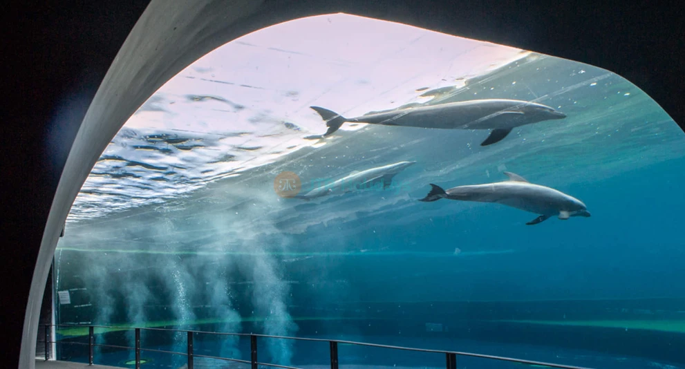 Acquario di Genova & Fantacinema Ticket | Explore Marine Life & Cinema Magic - JTR Holidays - Image 1 of 5