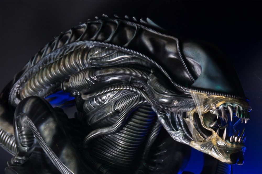 تذكرة حوض أسماك جنوة وفانتاسينيما في جنوة - Image 3 of 8