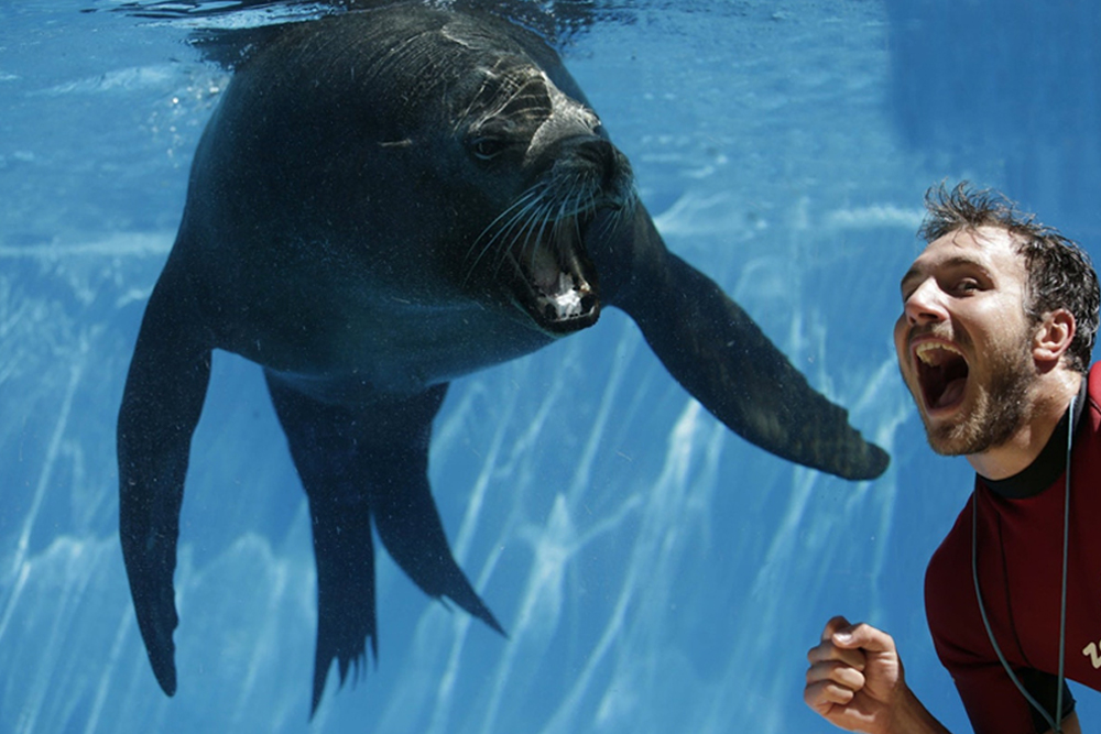 Zoomarine Ticket in Rome - Image 1 of 9