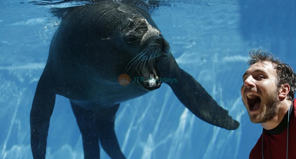 Zoomarine Ticket Rome | Water Park, Animal Shows & Thrill Rides - JTR Holidays - Image 1 of 5