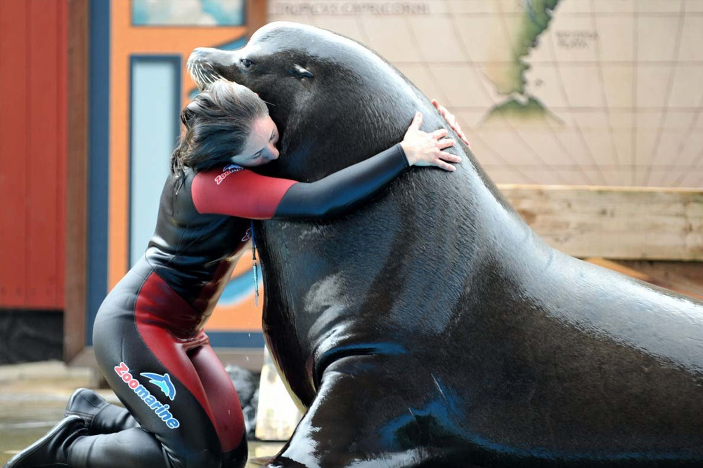 Zoomarine Ticket in Rome - Image 5 of 9