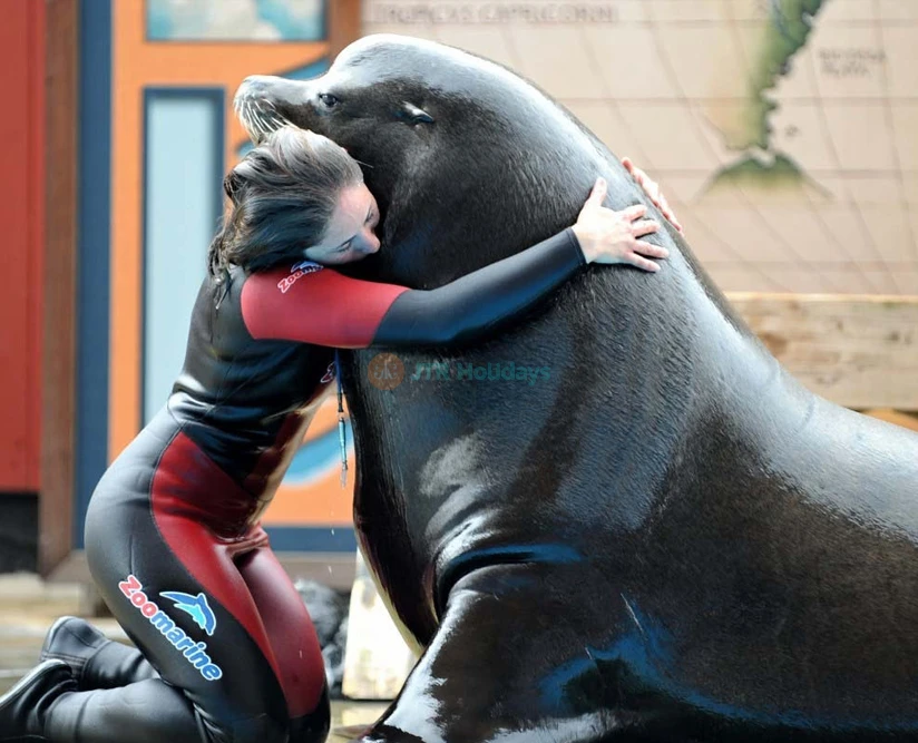 Zoomarine Ticket Rome | Water Park, Animal Shows & Thrill Rides - JTR Holidays - Image 5 of 5