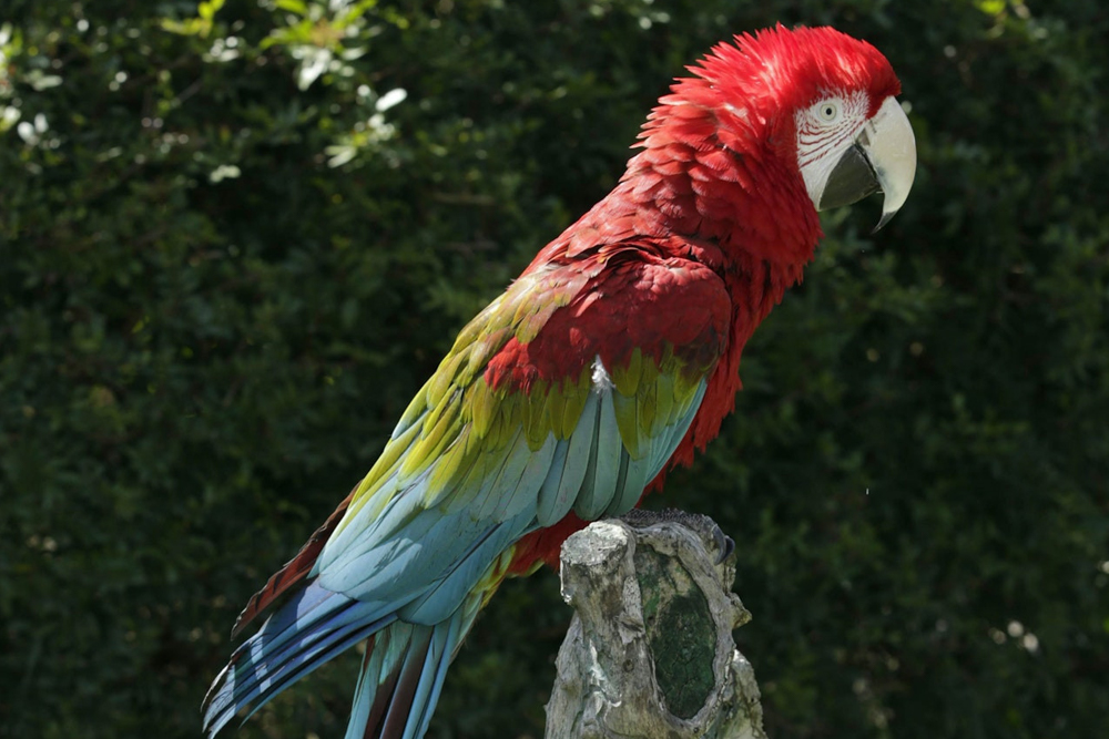 Zoomarine Ticket in Rome - Image 6 of 9