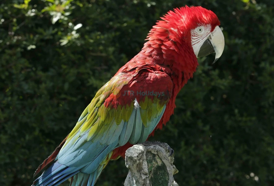 Zoomarine Ticket Rome | Water Park, Animal Shows & Thrill Rides - JTR Holidays