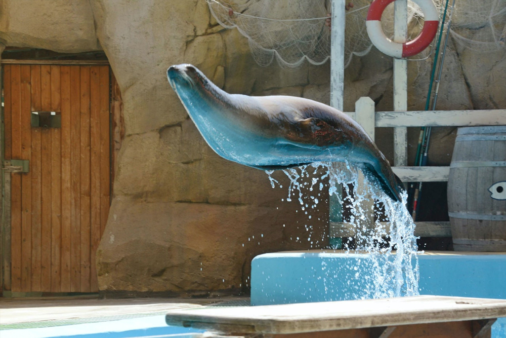 Zoomarine Ticket in Rome - Image 7 of 9