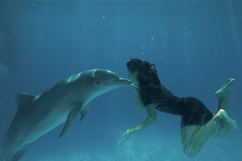 Zoomarine Ticket in Rome - Image 8 of 9