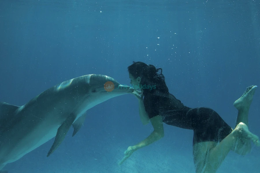 Zoomarine Ticket in Rome - Image 8 of 9