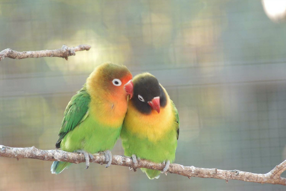 Zoomarine Ticket in Rome - Image 9 of 9