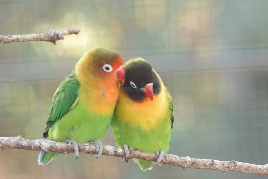 Zoomarine Ticket in Rome - Image 9 of 9