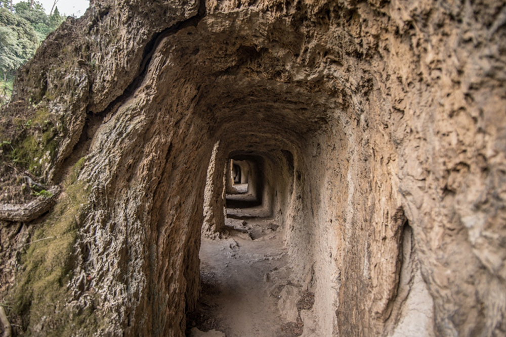 تذكرة حديقة فيلا غريغوريانا في روما - Image 3 of 8