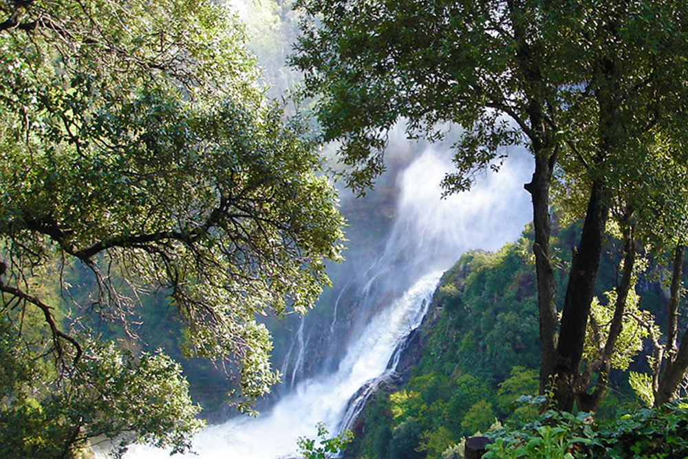Villa Gregoriana Park Ticket in Rome - Get your Villa Gregoriana Park ticket in Rome and explore a stunning landscape of waterfalls, ancient ruins, and lush trails in Tivoli. Discover hidden caves, scenic viewpoints, and historic sites in a peaceful natural setting. Book your ticket online for a relaxing escape into nature near Rome. Villa Gregoriana Park Ticket in Rome - Image 4 of 5