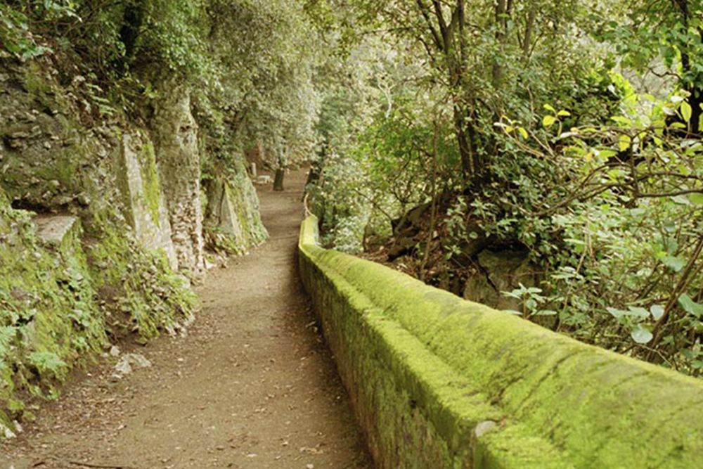 تذكرة حديقة فيلا غريغوريانا في روما - Image 7 of 8