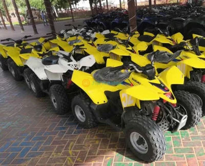 ドバイ夕方デザートサファリ（クワッドバイク付き） - 画像 2 の 5