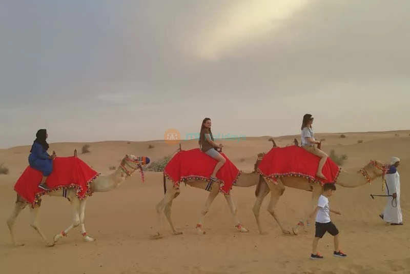 Evening Desert Safari Dubai with Quad Bike - Image 8 of 9
