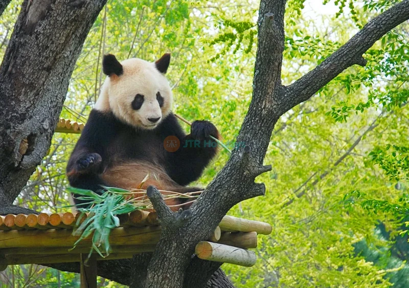 Zoo Aquarium de Madrid