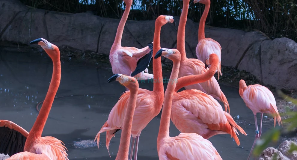 Zoo Aquarium de Madrid | Wildlife & Marine Life Experience in Spain - JTR Holidays - Image 1 of 5