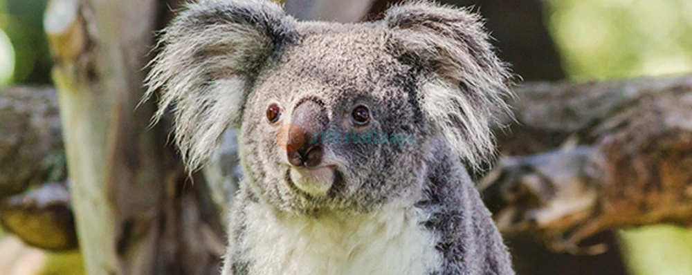 Zoo Aquarium de Madrid | Wildlife & Marine Life Experience in Spain - JTR Holidays - Image 3 of 5