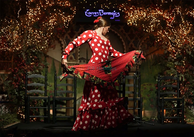 Tablao Flamenco Torres Bermejas in Madrid