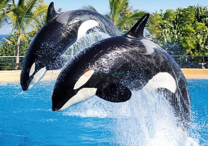 Loro Parque Ticket