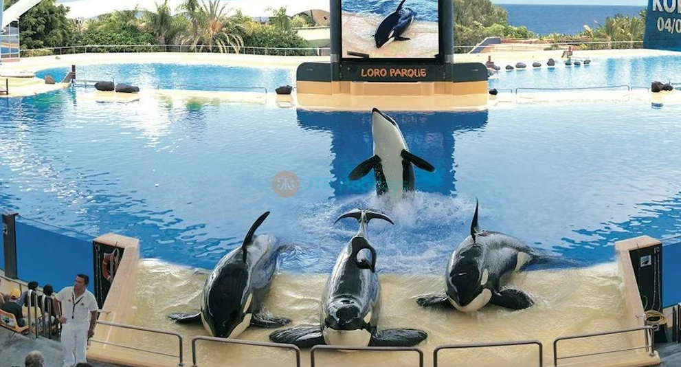 Loro Parque Ticket | Experience Tenerife’s Top Wildlife Park - JTR Holidays - Image 1 of 5