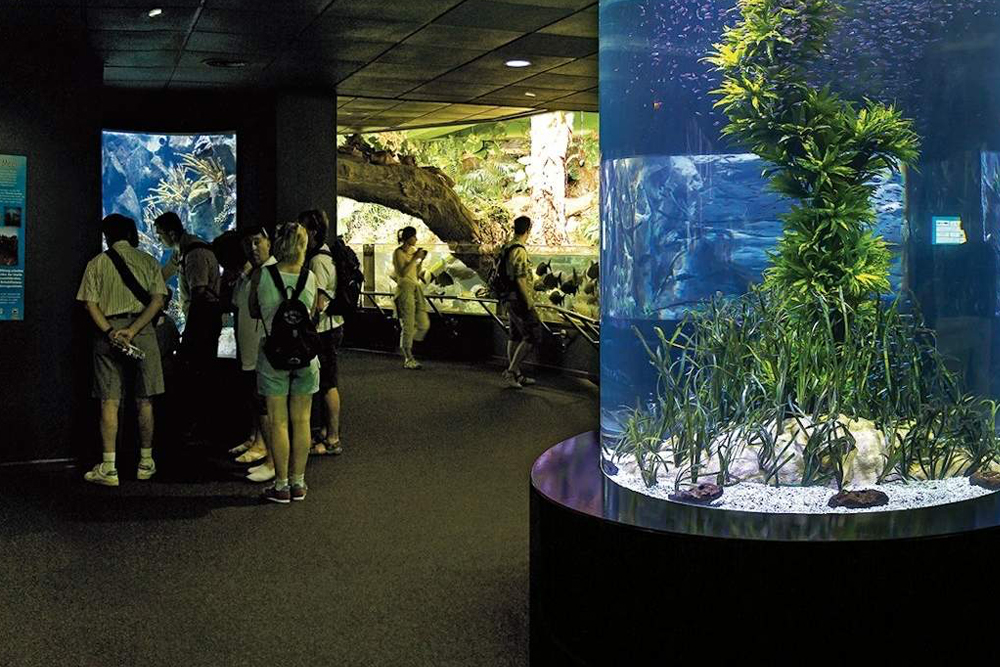 Entrada a Loro Parque - Image 2 of 8