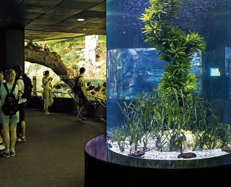 Loro Parque Ticket | Experience Tenerife’s Top Wildlife Park - JTR Holidays - Image 2 of 5