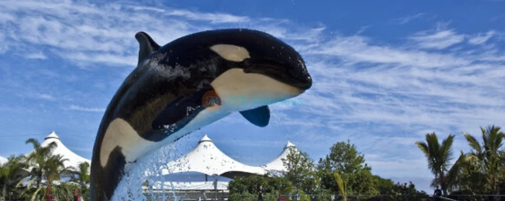 Loro Parque Ticket | Experience Tenerife’s Top Wildlife Park - JTR Holidays - Image 3 of 5