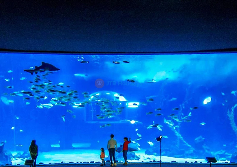 Biglietto per l'Acquario Poema del Mar in Spagna