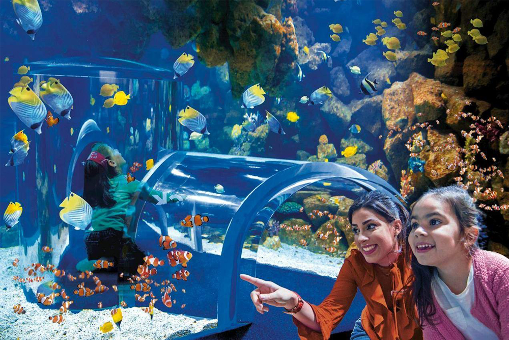 Poema del Mar Aquarium Ticket in Spain - Get your Poema del Mar Aquarium ticket and explore a stunning underwater world in Spain. See exotic marine life, vibrant coral reefs, and breathtaking ocean exhibits. Enjoy interactive experiences and transparent galleries for an immersive adventure. Experience the beauty of marine ecosystems at Poema del Mar Aquarium. Poema del Mar Aquarium Ticket in Spain - Image 1 of 5