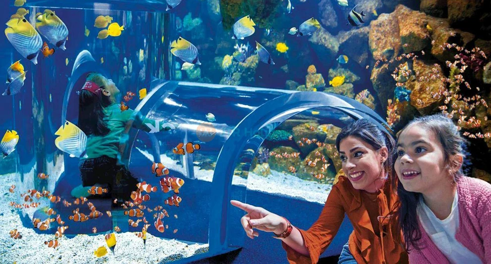 Poema del Mar Aquarium Ticket | Explore Marine Life in Spain - JTR Holidays - Image 1 of 5