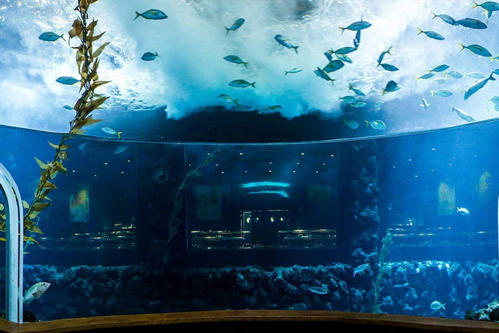 Entrada al Acuario Poema del Mar en España - Imagen 2 de 5