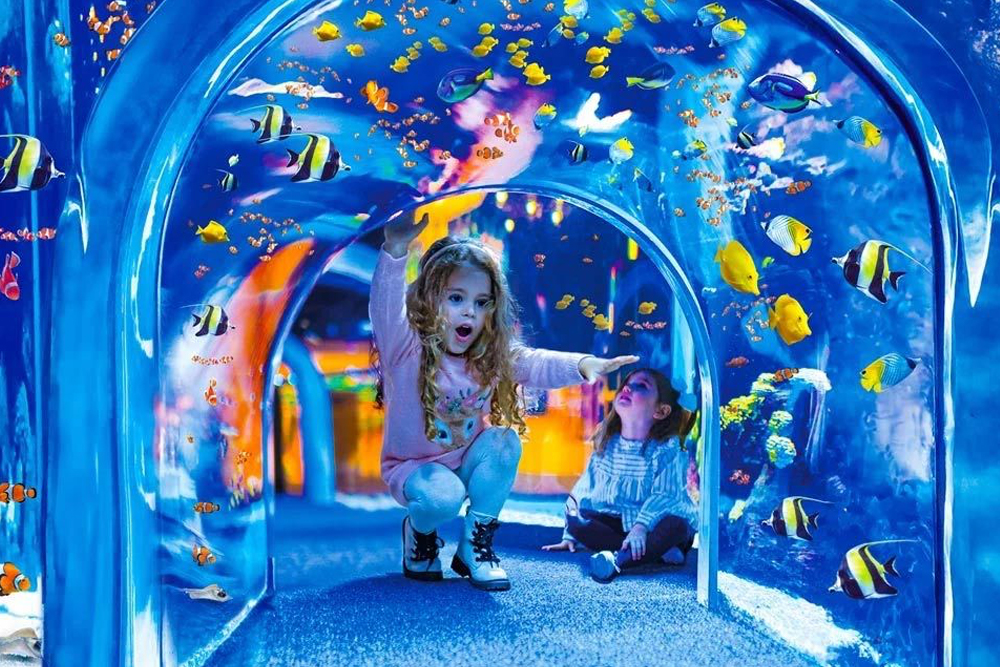 Poema del Mar Aquarium Ticket in Spain - Get your Poema del Mar Aquarium ticket and explore a stunning underwater world in Spain. See exotic marine life, vibrant coral reefs, and breathtaking ocean exhibits. Enjoy interactive experiences and transparent galleries for an immersive adventure. Experience the beauty of marine ecosystems at Poema del Mar Aquarium. Poema del Mar Aquarium Ticket in Spain - Image 4 of 5