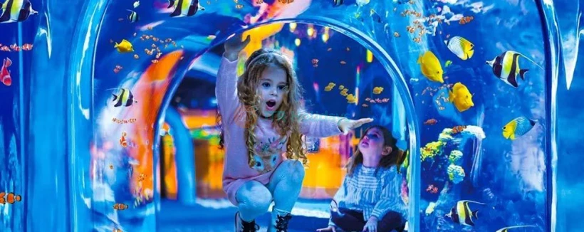 Entrada al Acuario Poema del Mar en España - Obtén tu entrada para el Acuario Poema del Mar y explora un impresionante mundo submarino en España. Observa fauna marina exótica, arrecifes de coral vibrantes y exhibiciones oceánicas impresionantes. Disfruta de experiencias interactivas y galerías transparentes para una aventura inmersiva. Experimenta la belleza de los ecosistemas marinos en el Acuario Poema del Mar. Entrada al Acuario Poema del Mar en España - Imagen 4 de 5