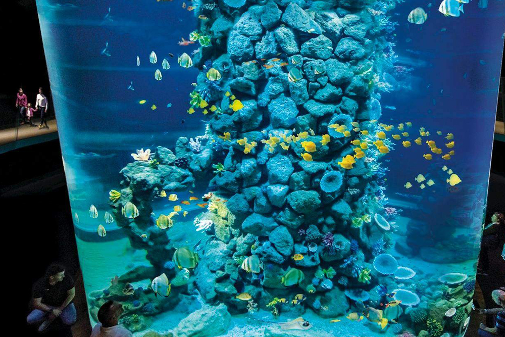 西班牙海之诗水族馆门票 - Image 6 of 7