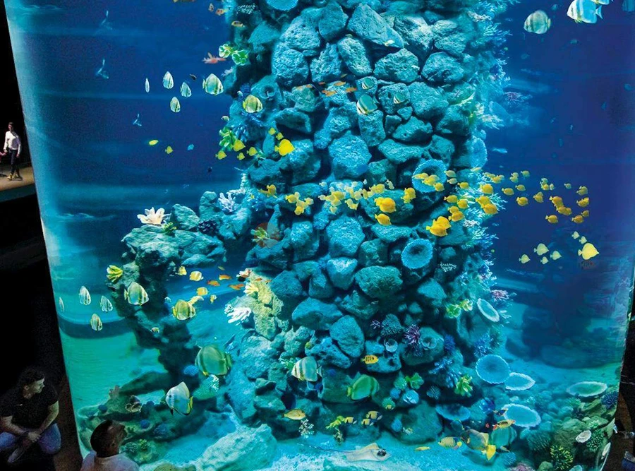 Poema del Mar Aquarium Ticket | Explore Marine Life in Spain - JTR Holidays - Image 6 of 7