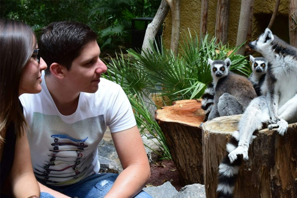 Jungle Park Ticket in Tenerife - Get your Jungle Park ticket and explore a tropical wildlife paradise in Tenerife. See exotic animals, thrilling bird of prey shows, and lush jungle landscapes. Walk through hanging bridges and adventure trails for an unforgettable experience. Enjoy nature, wildlife, and excitement at Jungle Park in Tenerife. Jungle Park Ticket in Tenerife - Image 1 of 5