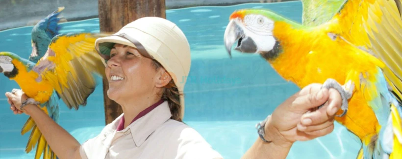 Jungle Park Ticket in Tenerife - Get your Jungle Park ticket and explore a tropical wildlife paradise in Tenerife. See exotic animals, thrilling bird of prey shows, and lush jungle landscapes. Walk through hanging bridges and adventure trails for an unforgettable experience. Enjoy nature, wildlife, and excitement at Jungle Park in Tenerife. Jungle Park Ticket in Tenerife - Image 3 of 5