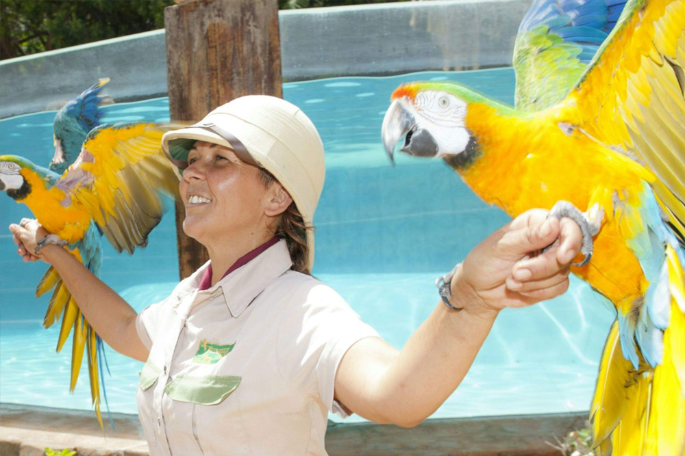 Jungle Park Ticket in Tenerife - Get your Jungle Park ticket and explore a tropical wildlife paradise in Tenerife. See exotic animals, thrilling bird of prey shows, and lush jungle landscapes. Walk through hanging bridges and adventure trails for an unforgettable experience. Enjoy nature, wildlife, and excitement at Jungle Park in Tenerife. Jungle Park Ticket in Tenerife - Image 3 of 5