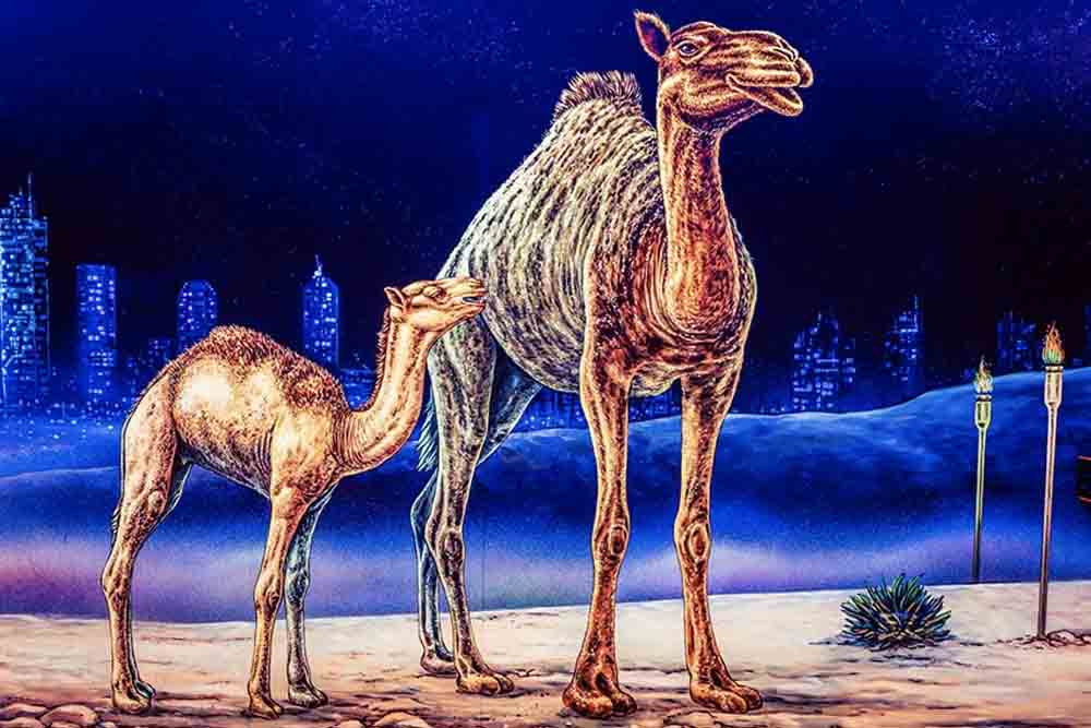 3D Blacklight Minigolf Dubai Tickets - Image 1 of 5