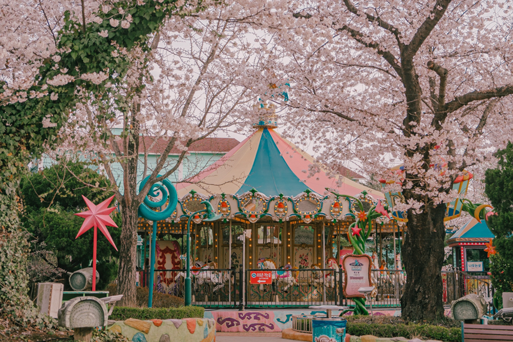 Gyeongju World Ticket - Image 3 of 5