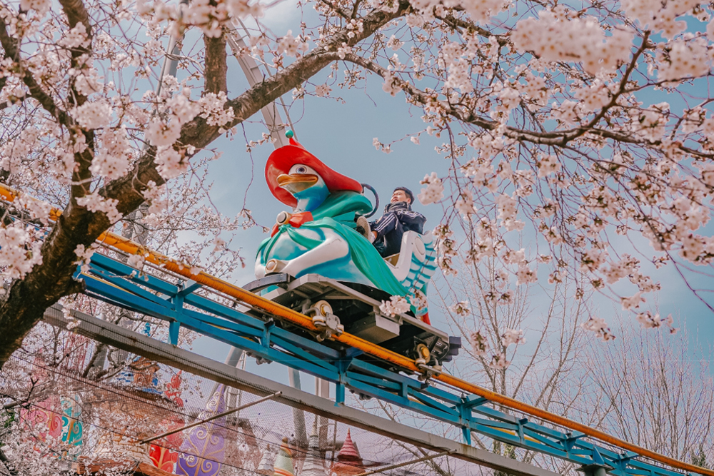 Gyeongju World Ticket - Image 4 of 7