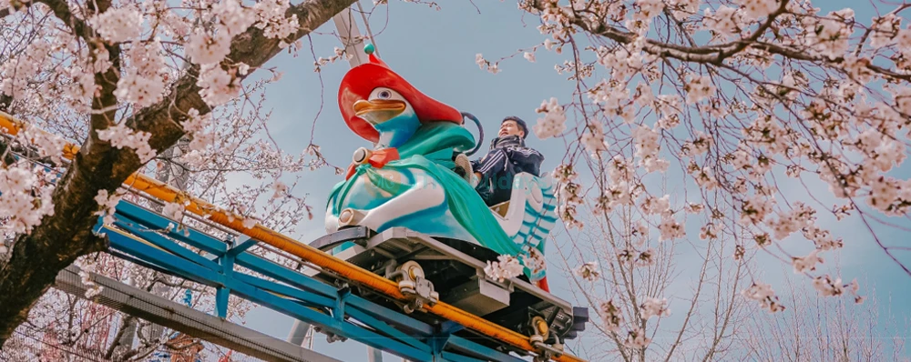 Gyeongju World Ticket – Experience Thrill Rides & Family Fun in South Korea - JTR Holidays - Image 4 of 5