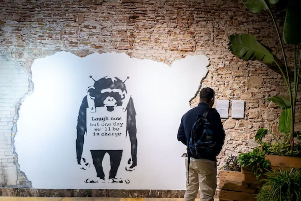 Museo Banksy Barcelona - Visita el Museo Banksy en Barcelona y explora más de 130 reproducciones de las obras más famosas del artista. Descubre arte callejero que invita a la reflexión y aprende sobre el impacto de Banksy en la cultura moderna. Experimenta un tour inmersivo autoguiado que muestra sus poderosos mensajes. Obtén tu entrada y sumérgete en el mundo de este icónico artista del graffiti. Museo Banksy Barcelona - Imagen 2 de 5