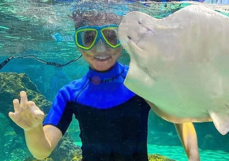 One World Interactive Aquarium
