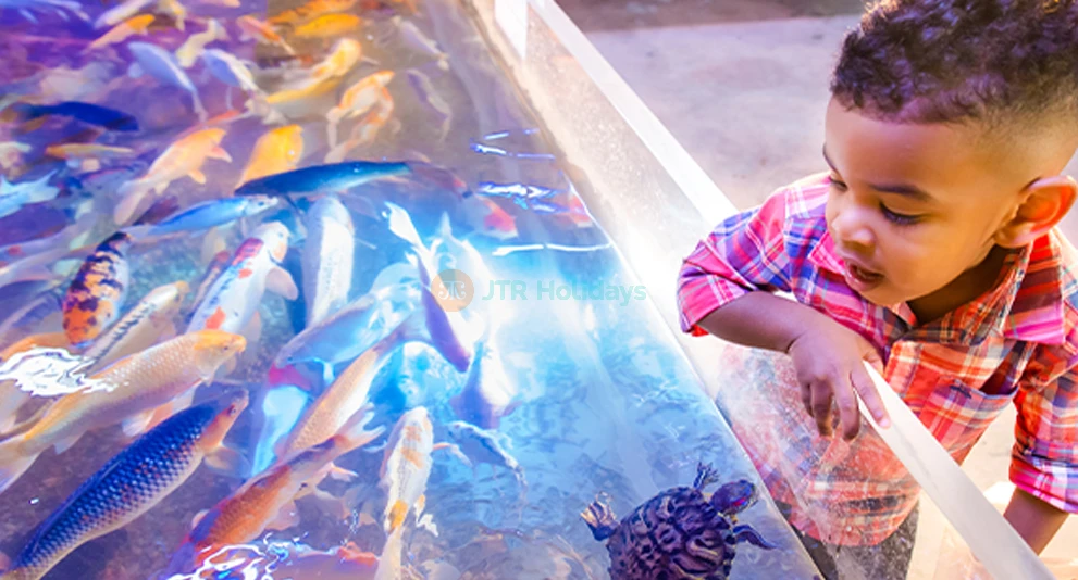 SeaQuest Las Vegas - Image 1 of 5