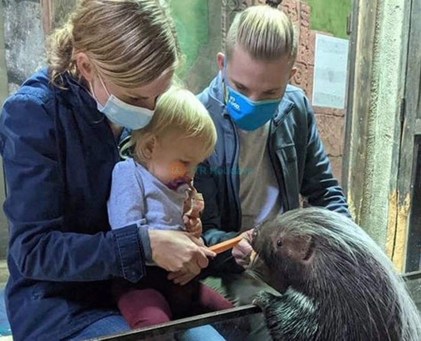 SeaQuest Las Vegas - Image 2 of 5