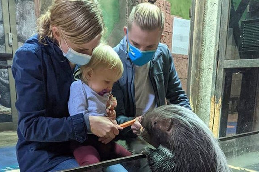 SeaQuest Las Vegas - Image 2 of 5