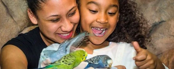 SeaQuest Las Vegas: Over 1,000 Creatures Await - JTR Holidays