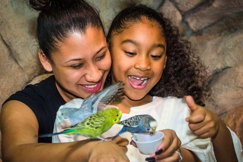 SeaQuest Las Vegas - Image 3 of 5